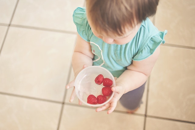 Toddler's diet