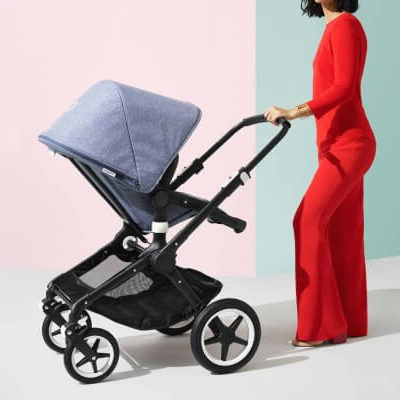 bugaboo fox capsule