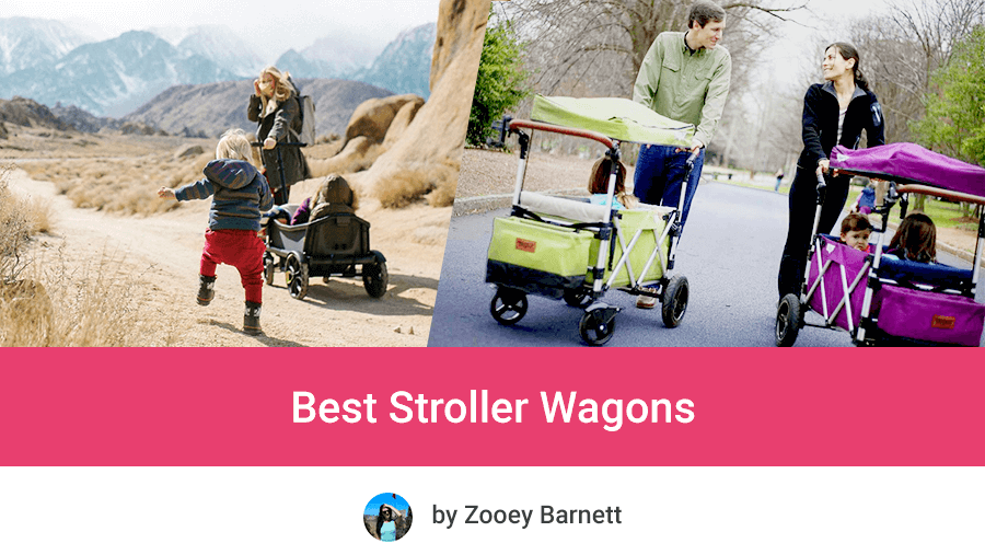 2 seater wagon stroller