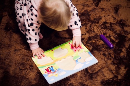 Wooden jigsaw puzzles for infants and toddlers - first jigsaw puzzles