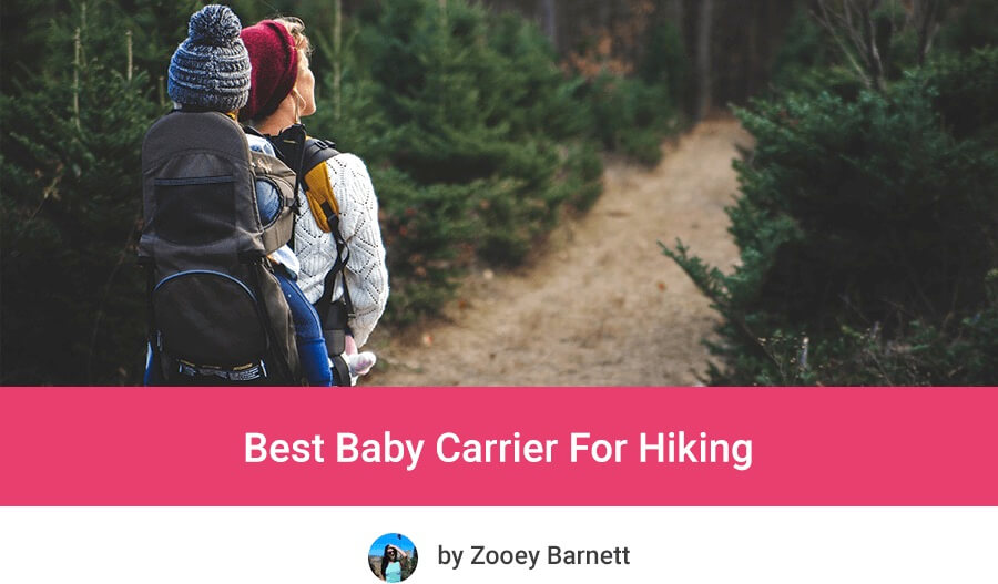 bugaboo hiking carrier