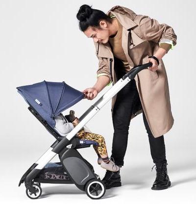 bugaboo ant canopy