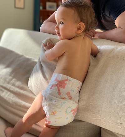 Kudos Diaper Kudos Diaper