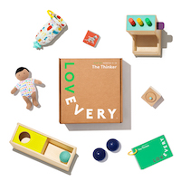 Lovevery Thinker Play Kit