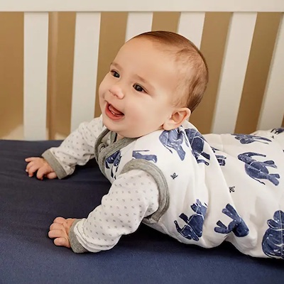 Burt's Bees Baby Wearable Blanket Burt's Bees Baby Wearable Blanket