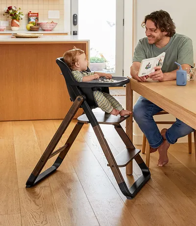 Ergobaby Evolve High Chair that folds
