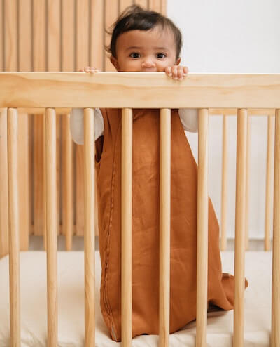 WildBird Sleeping Bag