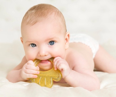 Can Chewing On Toys Prevent Chewing On Tongue Can Chewing On Toys Prevent Chewing On Tongue